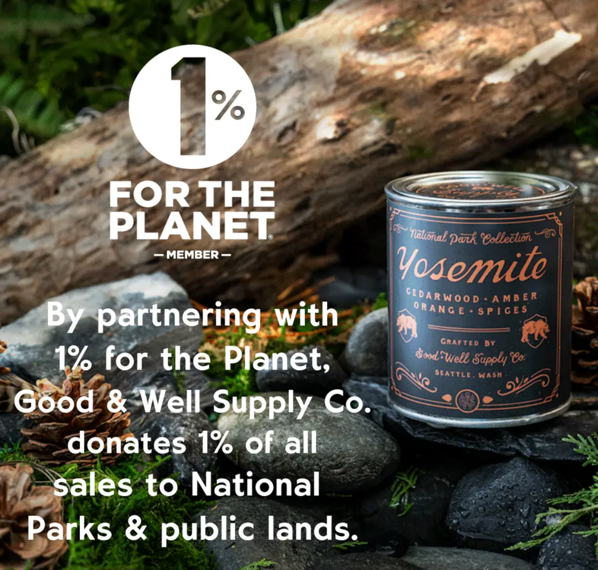 Rainier National Park 14 oz Candle - Candles