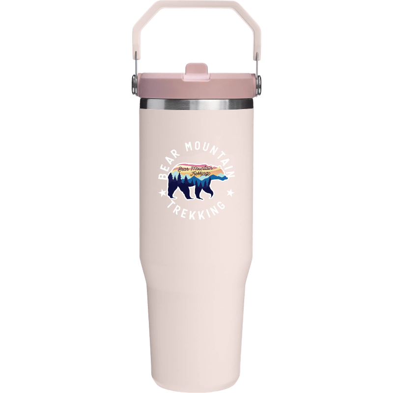 Stanley IceFlow™ 2.0 Flip Straw Tumbler 30 oz - Tumblers w/Straws - SwagWear
