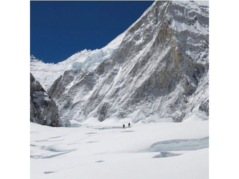 The North Face Ladies Sweater Fleece Jacket