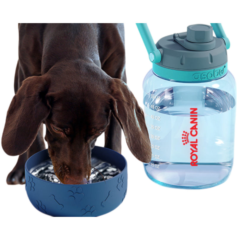 ASOBU The Barkley-TWB21