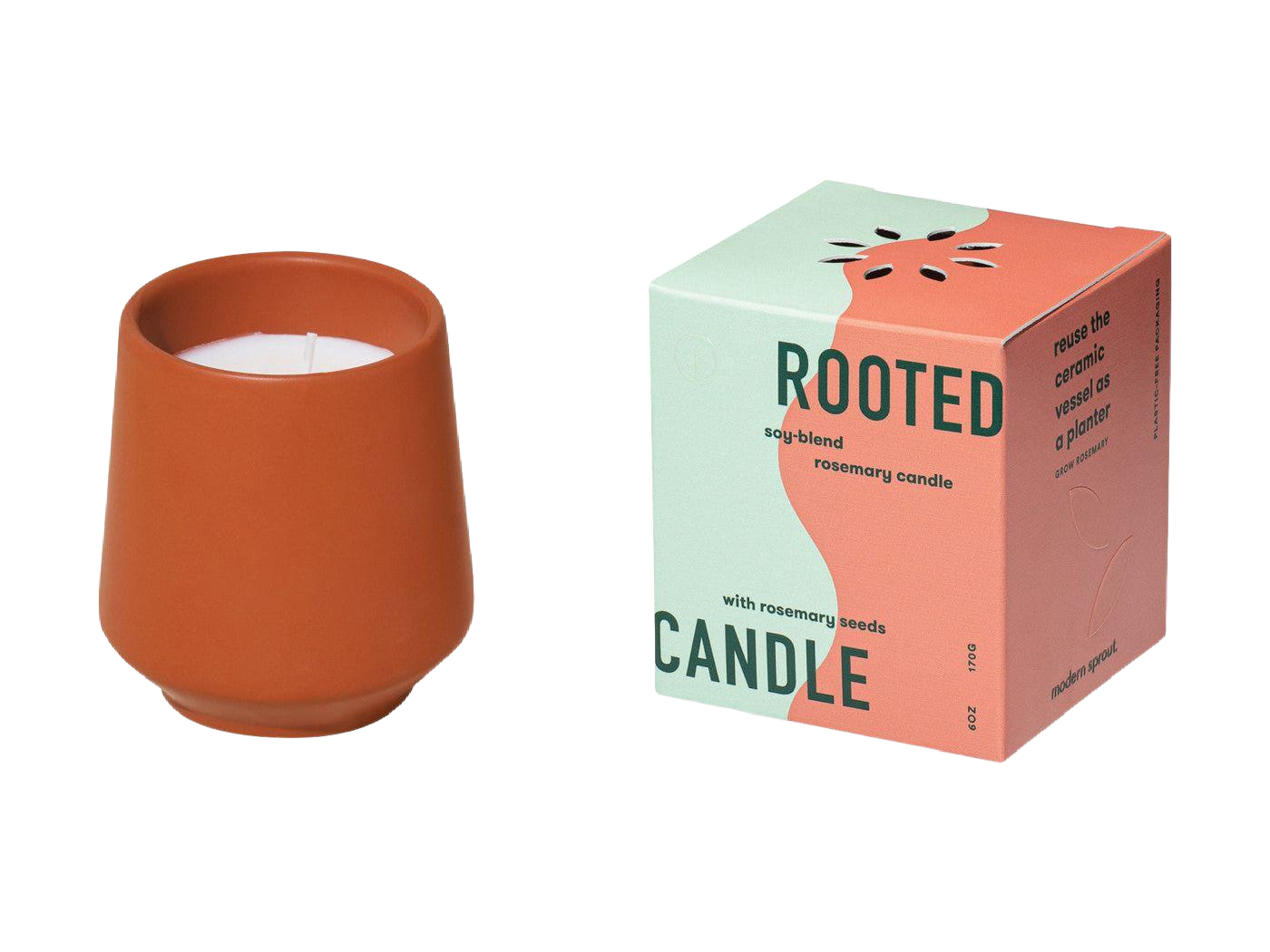 Modern Sprout® Rooted Candle