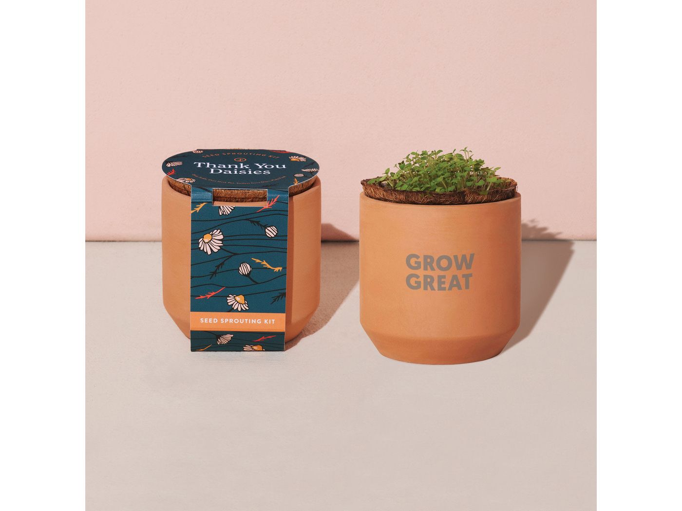 Modern Sprout® Tiny Terracotta Grow Kit Thank You Daisies