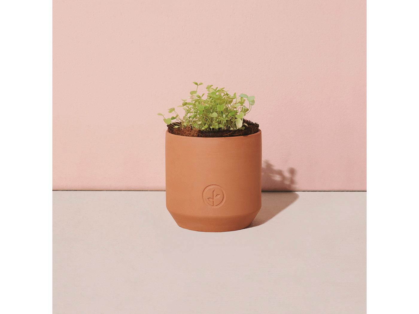 Modern Sprout® Tiny Terracotta Grow Kit Good Luck Clover