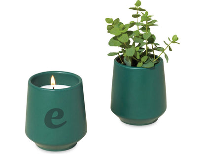 Modern Sprout® Rooted Candle