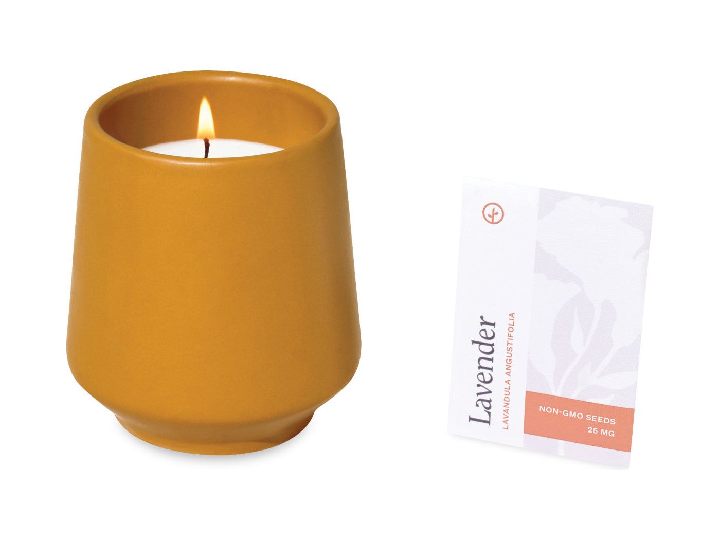 Modern Sprout® Rooted Candle