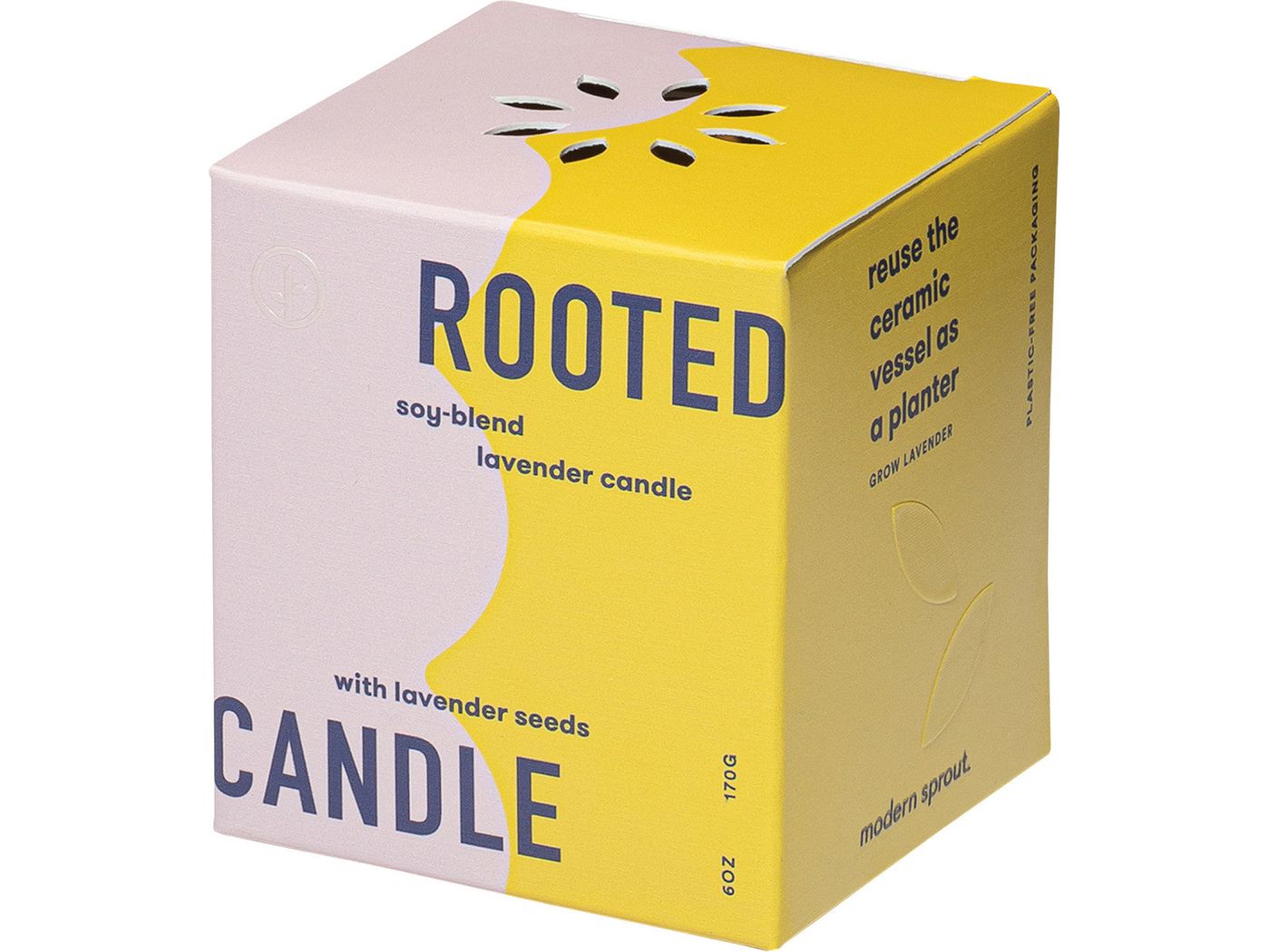 Modern Sprout® Rooted Candle