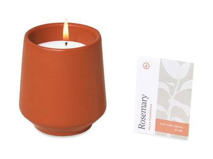 Modern Sprout® Rooted Candle