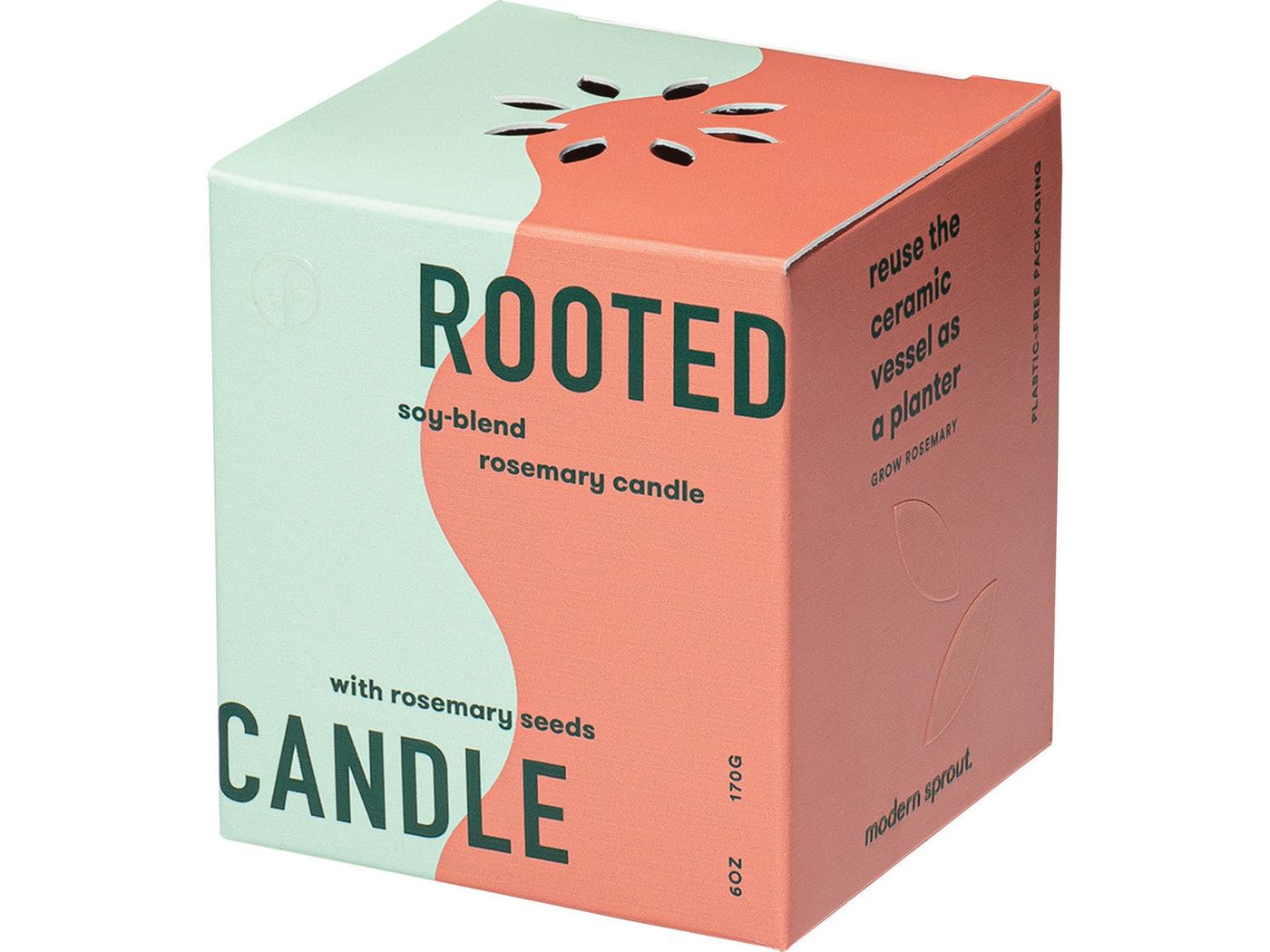 Modern Sprout® Rooted Candle