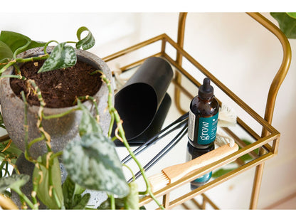 Modern Sprout® Plant Parent Care Kit