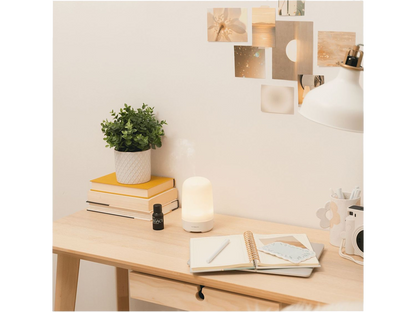 Vitruvi Glow Diffuser and Essential Oils Bundle Set