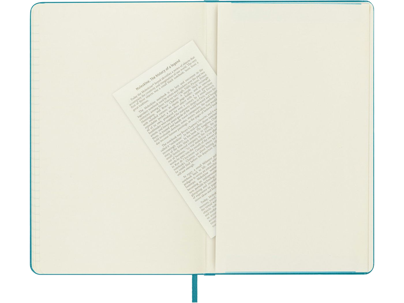 Moleskine® Hard Cover Ruled Large Notebook