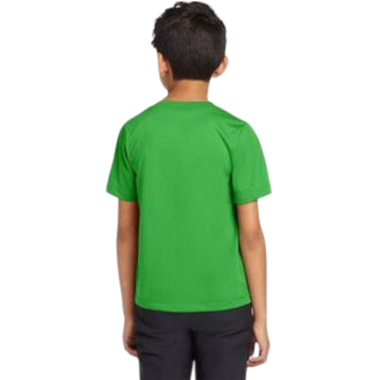 Nike Youth Team rLegend Tee