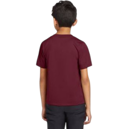 Nike Youth Team rLegend Tee