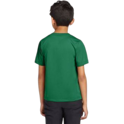Nike Youth Team rLegend Tee