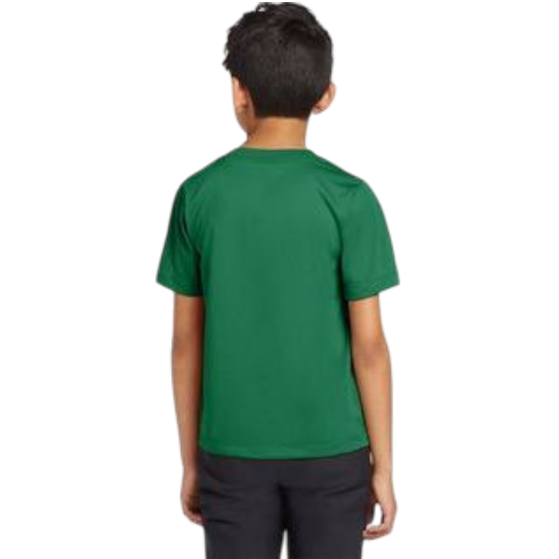 Nike Youth Team rLegend Tee