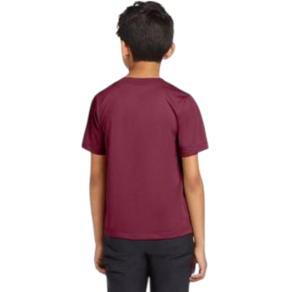 Nike Youth Team rLegend Tee