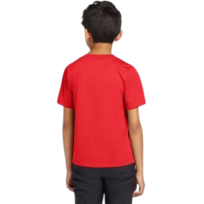 Nike Youth Team rLegend Tee