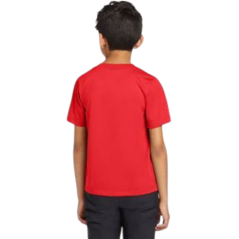Nike Youth Team rLegend Tee