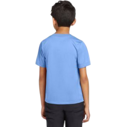 Nike Youth Team rLegend Tee