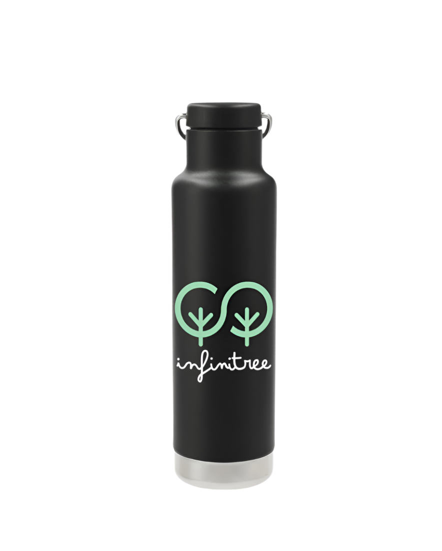 Klean Kanteen Eco Insulated Classic 20oz - Loop Cap