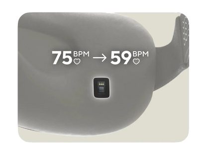 Therabody SmartGoggles (2nd Generation)