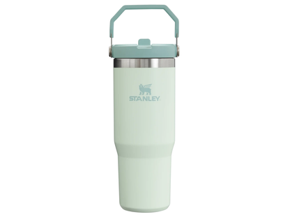 Stanley IceFlow™ Flip Straw Tumbler 30 oz