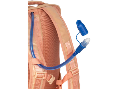 Terra Laptop Backpack