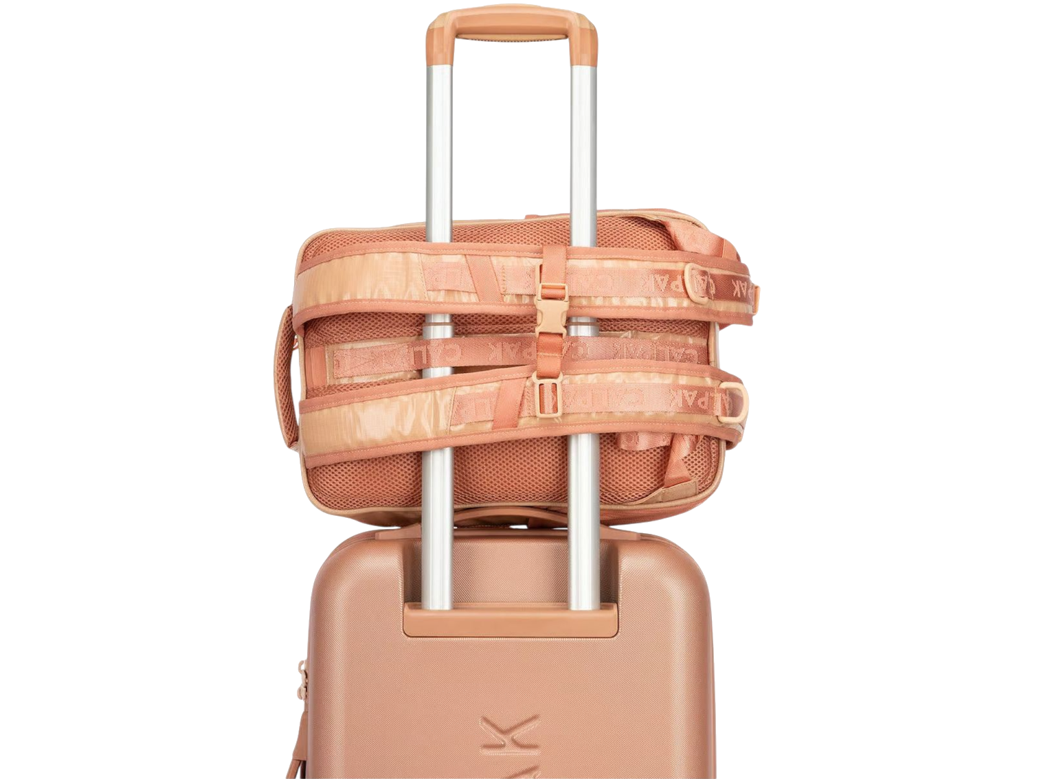 Terra Laptop Backpack