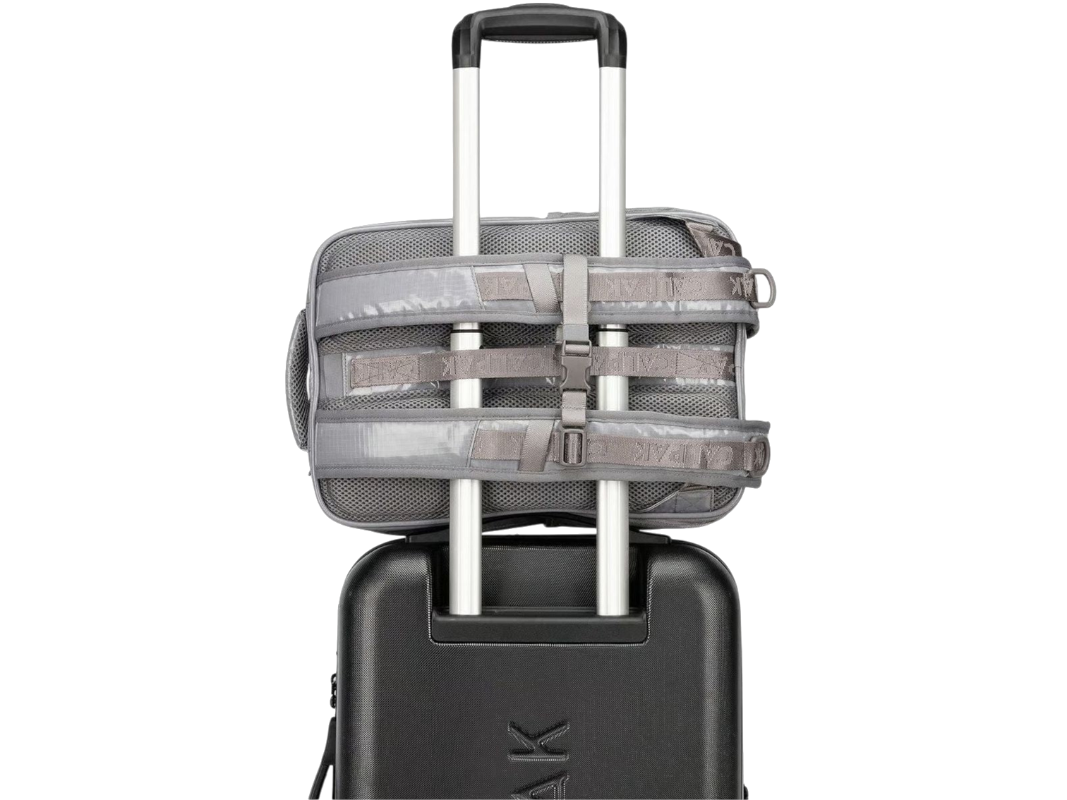 Terra Laptop Backpack