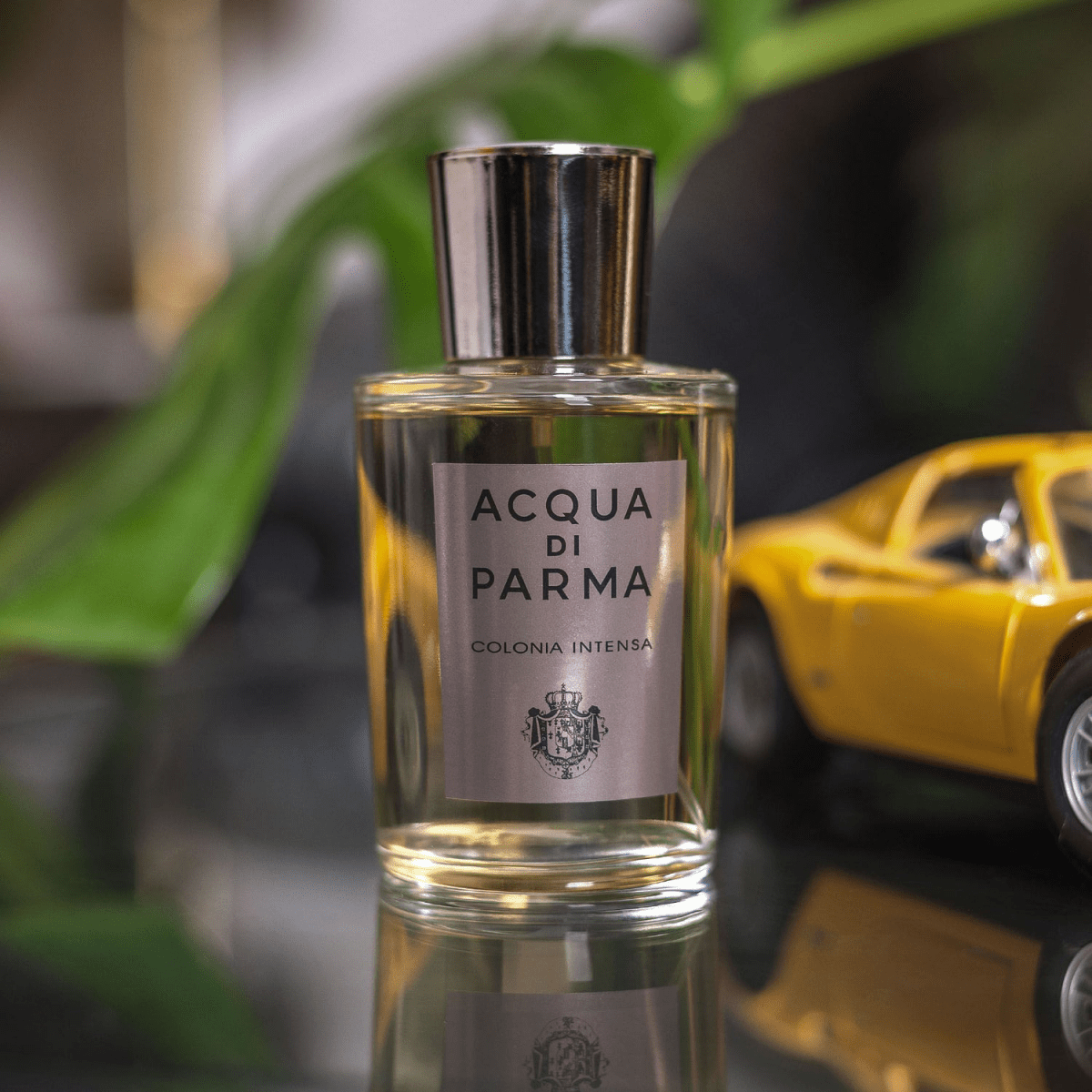 Acqua di Parma Fragrance Colonia Intensa Eau De Cologne Size 1.7oz - Perfumes - SwagWear