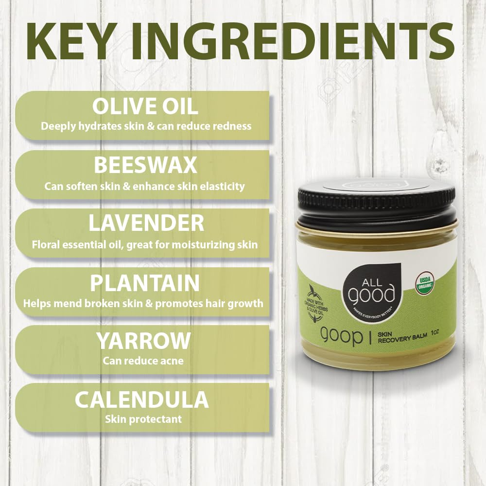 All Good Goop Skin Recovery Balm 1oz - Health & Beauty