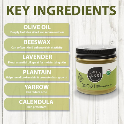 All Good Goop Skin Recovery Balm 1oz - Health & Beauty