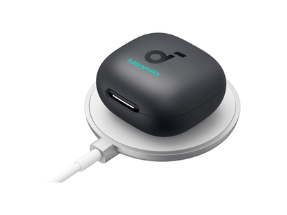 Anker Soundcore P40i - Earbuds - SwagWear