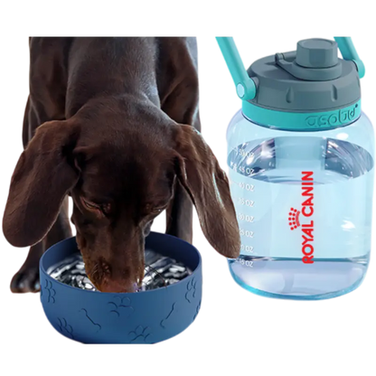 ASOBU The Barkley - TWB21 - Pet Bottles - SwagWear