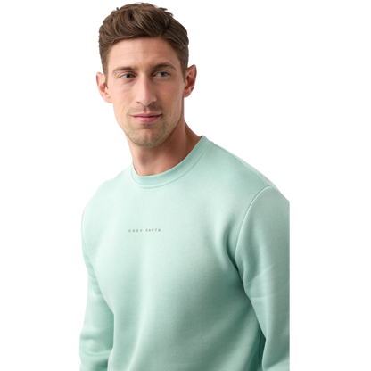 A man with short brown hair is wearing a mint green Men's CityScape Crewneck from Cozy Earth, featuring the brand name printed on the front. He gazes slightly to the side against a plain white background. |Color:Wintergreen