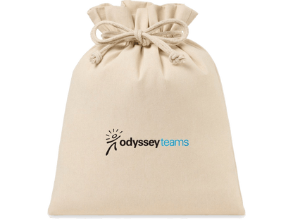 Eco-conscious Canvas Drawstring Gift Bag - Large - gift bag - SwagWear