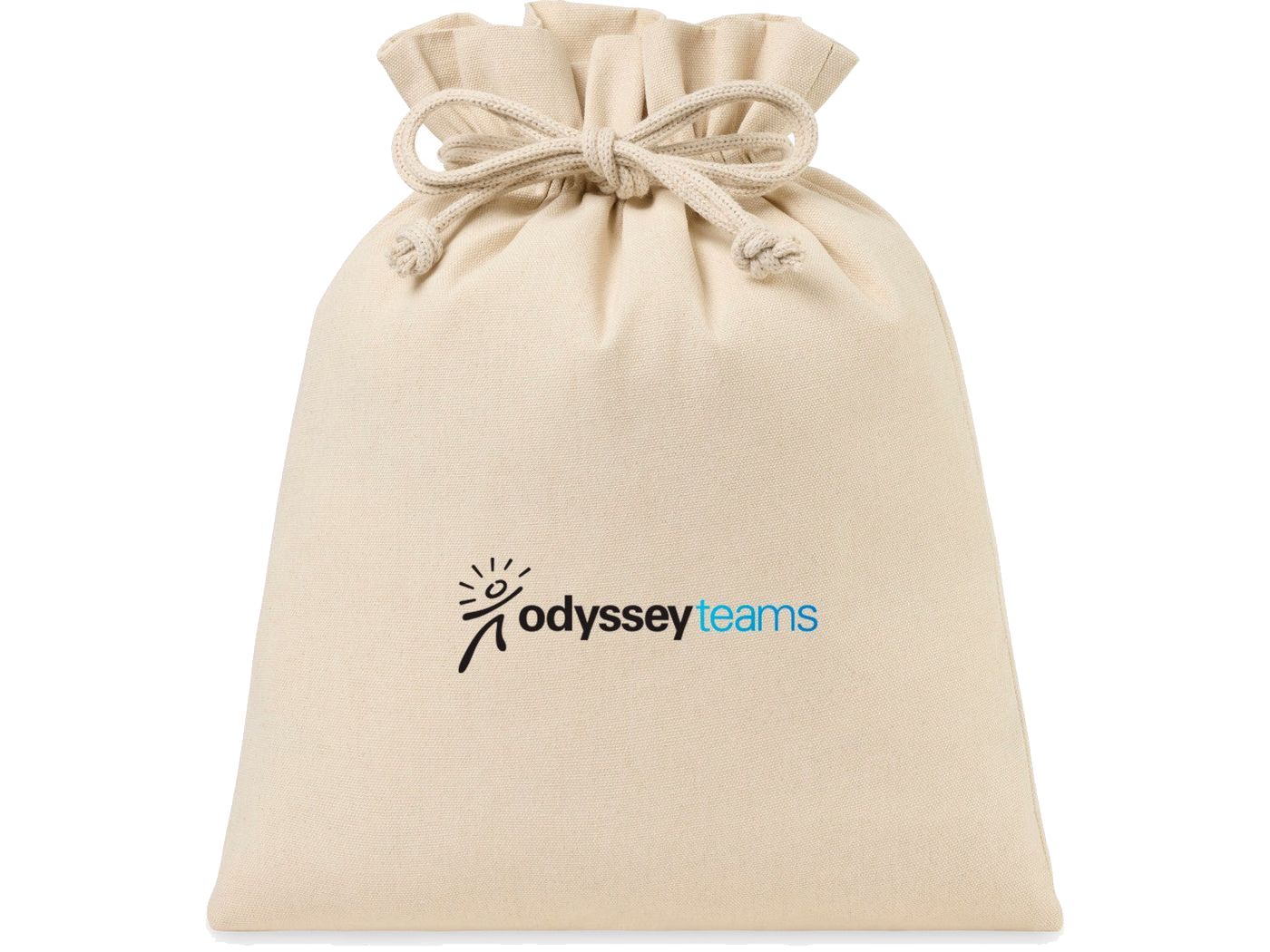 Eco-conscious Canvas Drawstring Gift Bag - Large - Natural - gift bag