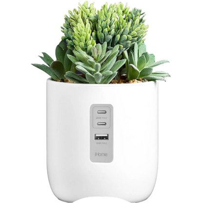 iHome Faux Succulent with USB Charging Station