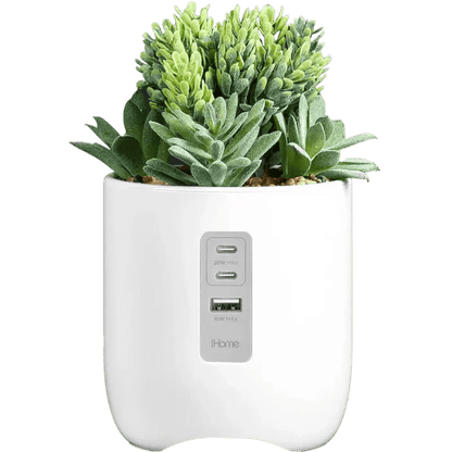 iHome Faux Succulent with USB Charging Station - Charging Stations - SwagWear