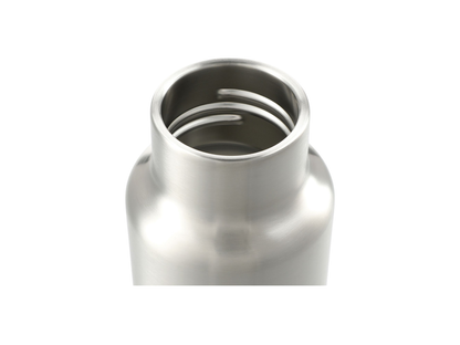 Klean Kanteen Eco Insulated Classic 20oz - Loop Cap - Water Bottles
