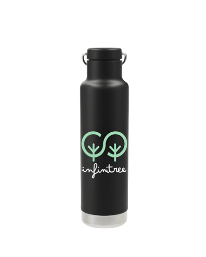 Klean Kanteen Eco Insulated Classic 20oz - Loop Cap - Water Bottles