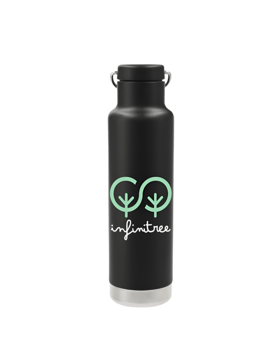 Klean Kanteen Eco Insulated Classic 20oz - Loop Cap - Water Bottles - SwagWear