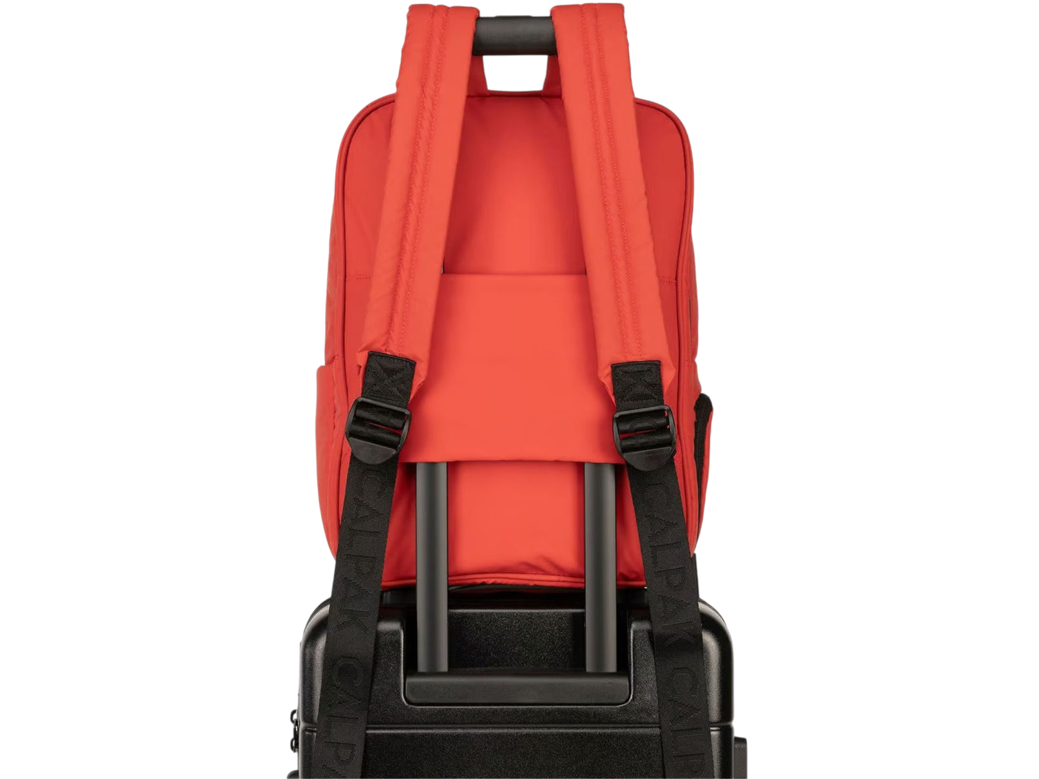 Luka 15 inch Laptop Backpack - Laptop Backpacks