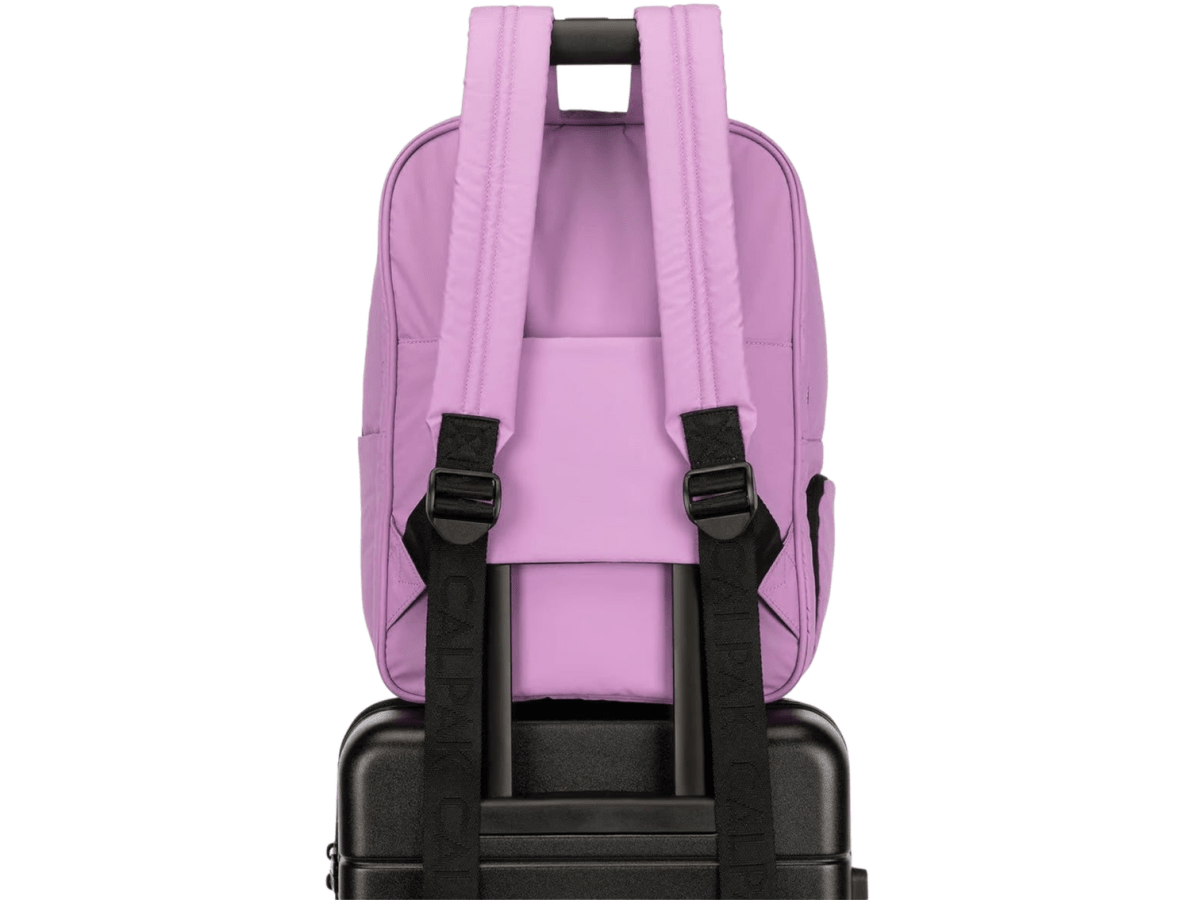 Luka 15 inch Laptop Backpack - Laptop Backpacks - SwagWear
