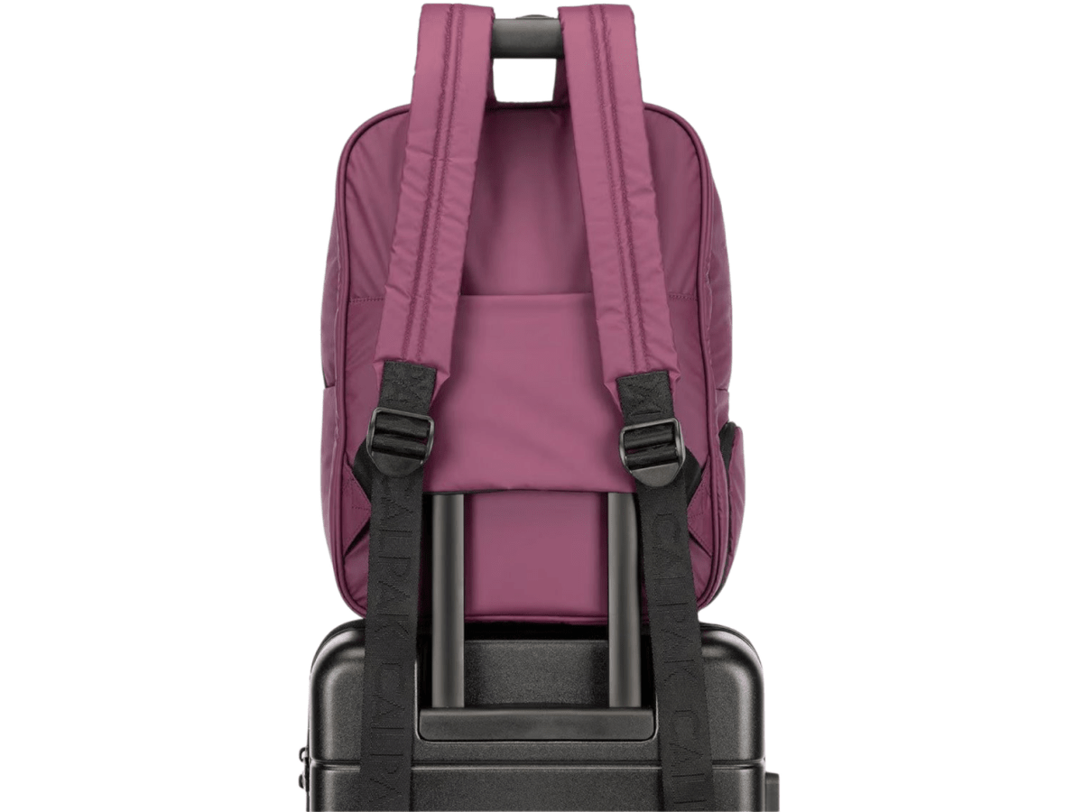 Luka 15 inch Laptop Backpack - Laptop Backpacks - SwagWear