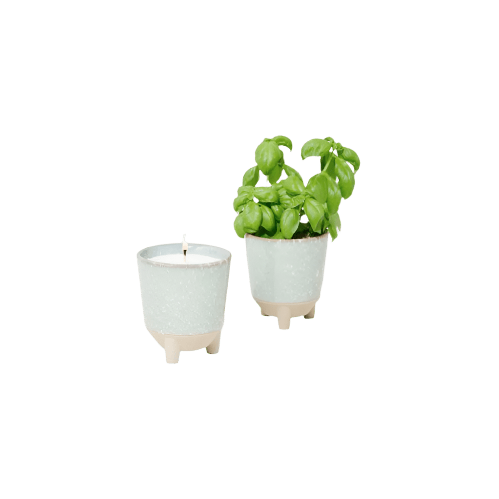 Modern Sprout® Glow & Grow Live Well Gift Set - Plant Grow Kits - SwagWear