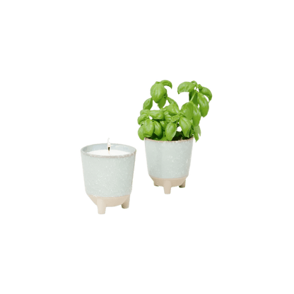 Modern Sprout® Glow & Grow Live Well Gift Set - Plant Grow Kits - SwagWear