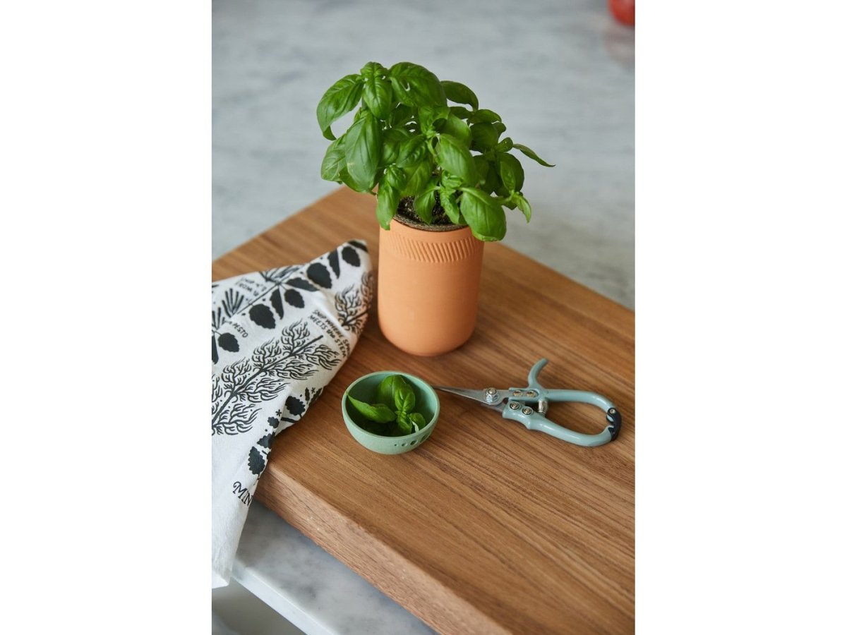 Modern Sprout® Growing Gourmet Gift Set - Plant Grow Kits - SwagWear