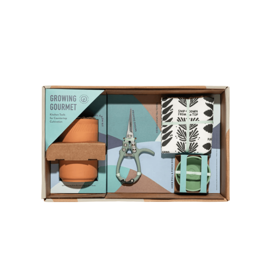 Modern Sprout® Growing Gourmet Gift Set - Plant Grow Kits - SwagWear