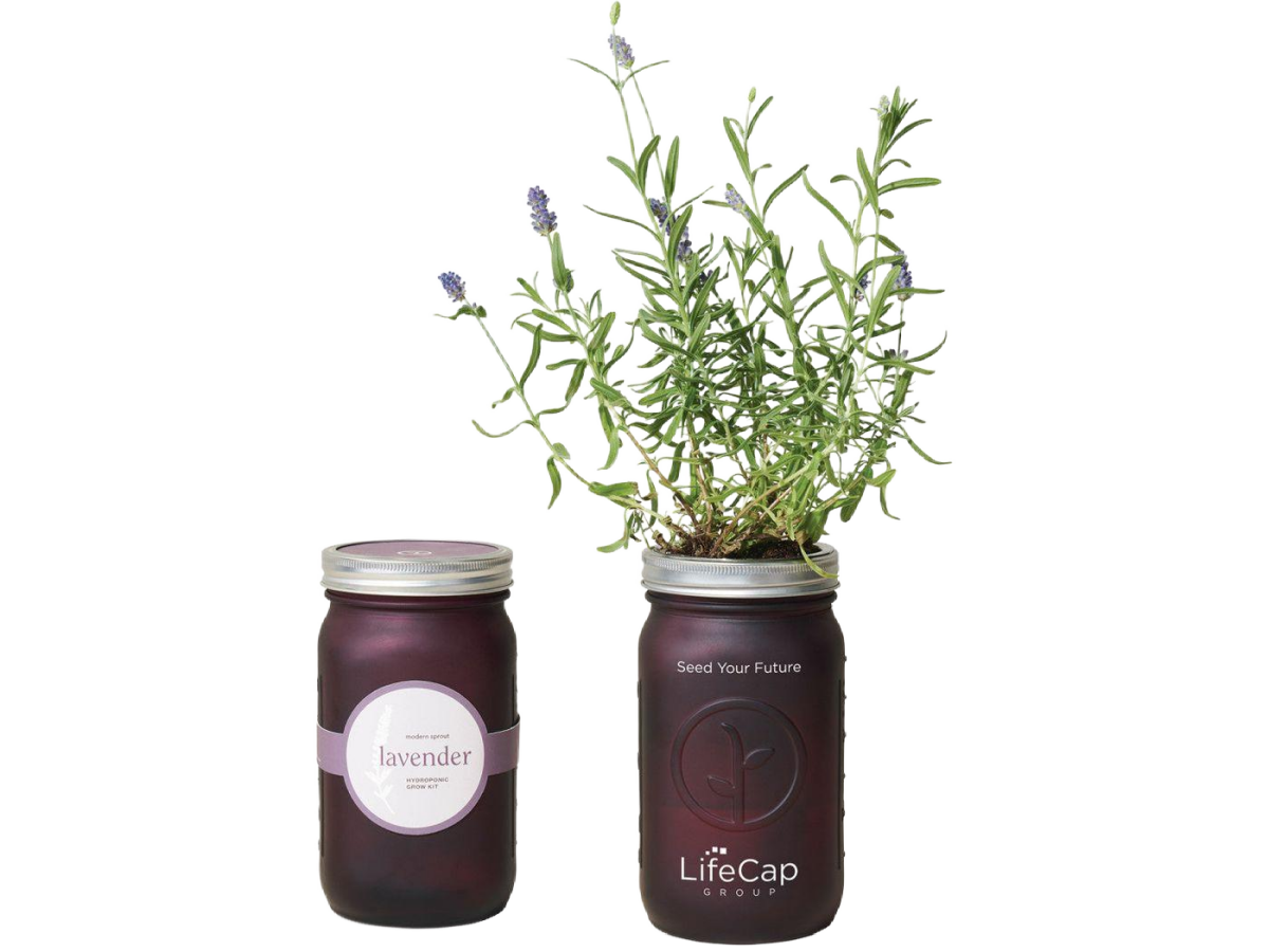 Modern Sprout® Indoor Herb Garden Kit - Plant Grow Kits - SwagWear